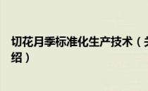 切花月季标准化生产技术（关于切花月季标准化生产技术介绍）