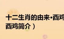 十二生肖的由来·酉鸡（关于十二生肖的由来·酉鸡简介）