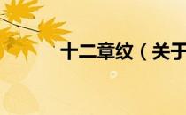 十二章纹（关于十二章纹简介）