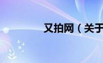 又拍网（关于又拍网介绍）