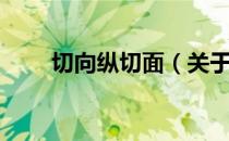 切向纵切面（关于切向纵切面介绍）