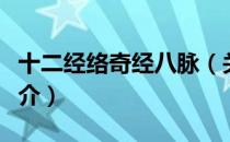 十二经络奇经八脉（关于十二经络奇经八脉简介）