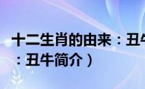 十二生肖的由来：丑牛（关于十二生肖的由来：丑牛简介）