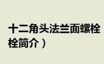 十二角头法兰面螺栓（关于十二角头法兰面螺栓简介）
