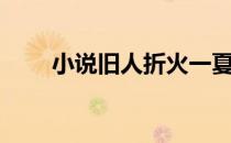 小说旧人折火一夏（旧人折火一夏）