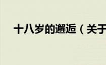 十八岁的邂逅（关于十八岁的邂逅简介）