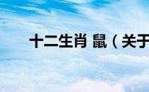 十二生肖 鼠（关于十二生肖 鼠简介）