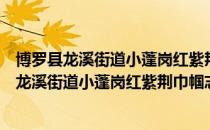 博罗县龙溪街道小蓬岗红紫荆巾帼志愿服务队（关于博罗县龙溪街道小蓬岗红紫荆巾帼志愿服务队）
