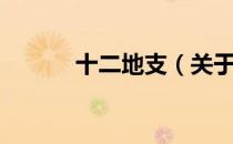 十二地支（关于十二地支简介）