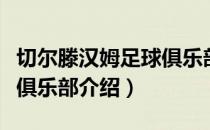 切尔滕汉姆足球俱乐部（关于切尔滕汉姆足球俱乐部介绍）
