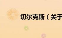 切尔克斯（关于切尔克斯介绍）