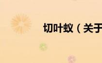 切叶蚁（关于切叶蚁介绍）