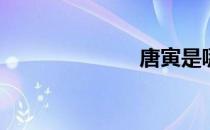 唐寅是哪里人？