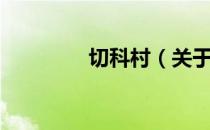 切科村（关于切科村介绍）