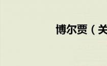 博尔贾（关于博尔贾）