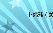卜炜玮（关于卜炜玮）