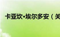 卡亚坎·埃尔多安（关于卡亚坎·埃尔多安）