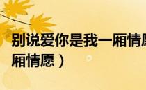 别说爱你是我一厢情愿（关于别说爱你是我一厢情愿）