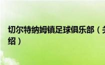切尔特纳姆镇足球俱乐部（关于切尔特纳姆镇足球俱乐部介绍）