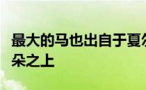 最大的马也出自于夏尔跑动起来就像是踩在云朵之上