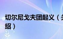 切尔尼戈夫团起义（关于切尔尼戈夫团起义介绍）