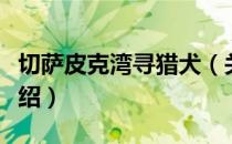 切萨皮克湾寻猎犬（关于切萨皮克湾寻猎犬介绍）