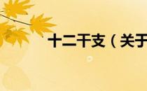 十二干支（关于十二干支简介）