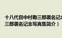 十八代目中村勘三郎袭名记念写真集（关于十八代目中村勘三郎袭名记念写真集简介）