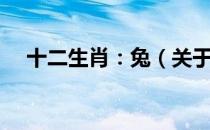 十二生肖：兔（关于十二生肖：兔简介）