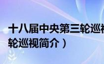 十八届中央第三轮巡视（关于十八届中央第三轮巡视简介）