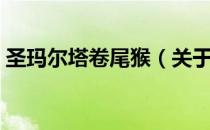 圣玛尔塔卷尾猴（关于圣玛尔塔卷尾猴简介）