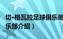 切·格瓦拉足球俱乐部（关于切·格瓦拉足球俱乐部介绍）