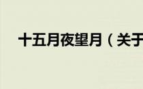 十五月夜望月（关于十五月夜望月简介）