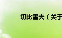 切比雪夫（关于切比雪夫介绍）