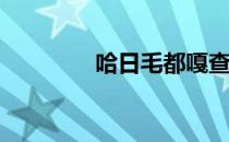 哈日毛都嘎查（harimao）
