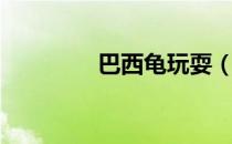 巴西龟玩耍（巴西龟乐园）