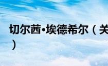 切尔茜·埃德希尔（关于切尔茜·埃德希尔介绍）