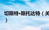 切斯特·斯托达特（关于切斯特·斯托达特介绍）