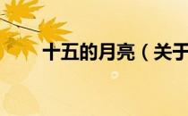 十五的月亮（关于十五的月亮简介）