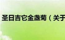 圣日吉它金盏菊（关于圣日吉它金盏菊简介）
