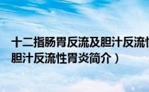 十二指肠胃反流及胆汁反流性胃炎（关于十二指肠胃反流及胆汁反流性胃炎简介）