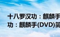 十八罗汉功：麒麟手(DVD)（关于十八罗汉功：麒麟手(DVD)简介）