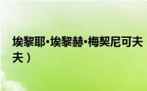 埃黎耶·埃黎赫·梅契尼可夫（关于埃黎耶·埃黎赫·梅契尼可夫）