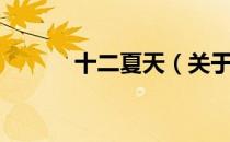 十二夏天（关于十二夏天简介）