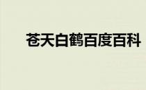 苍天白鹤百度百科（苍天白鹤作品集）