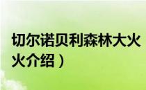 切尔诺贝利森林大火（关于切尔诺贝利森林大火介绍）