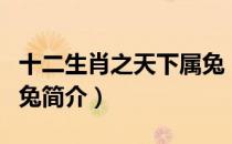 十二生肖之天下属兔（关于十二生肖之天下属兔简介）