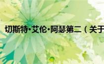 切斯特·艾伦·阿瑟第二（关于切斯特·艾伦·阿瑟第二介绍）