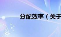分配效率（关于分配效率介绍）