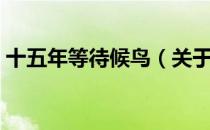 十五年等待候鸟（关于十五年等待候鸟简介）